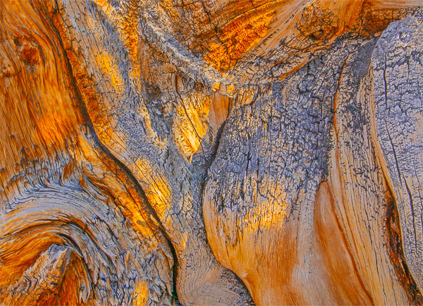 Alain Briot Fine Art Photography