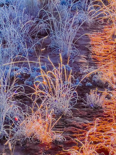 Alain Briot Fine Art Photography